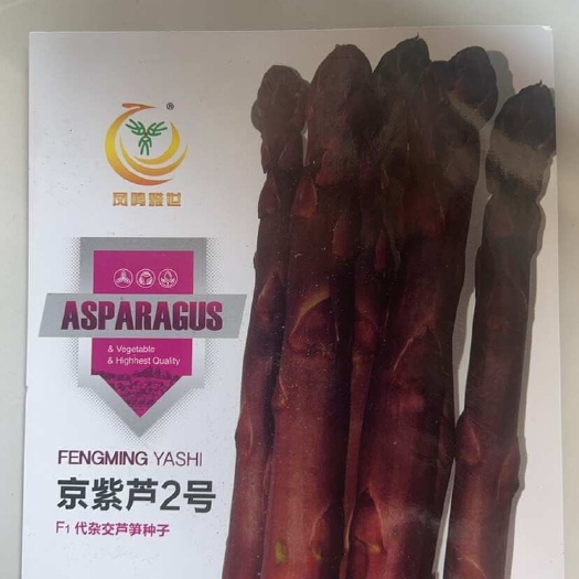 芦笋种子