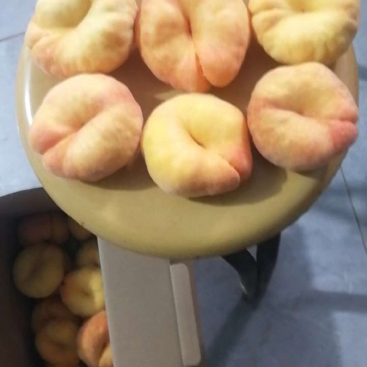 大荔县珍珠枣油桃