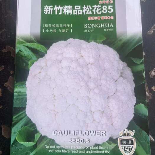 松花85青梗松花菜种子杂交晚熟菜花种籽花椰菜高 产大面积