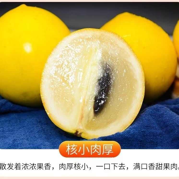 黃晶果新鮮現(xiàn)摘冬蜜黃晶果香甜多汁黃金牛奶果水果當(dāng)季大果