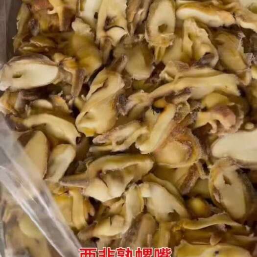 滨州西非海螺嘴