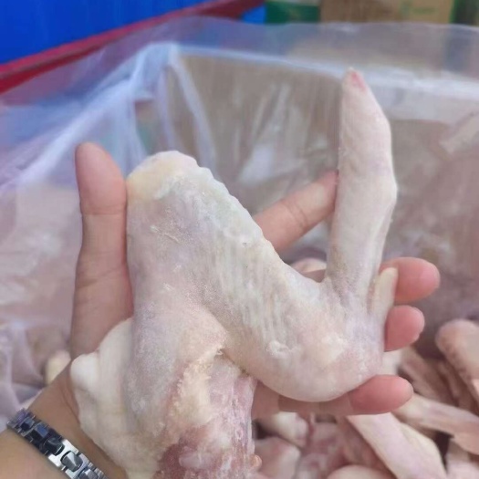 成都鸭翅 冻货三节鸭翅批发 地摊10元模式跑江湖 凉菜店卤鸭翅