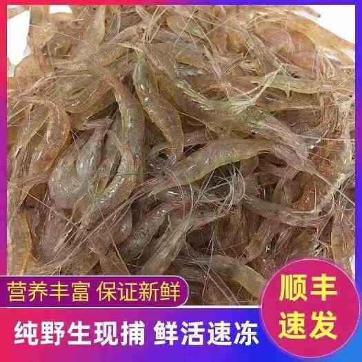 顺丰包邮小河虾鲜活冷冻新鲜冷冻整箱批发小海虾青虾湖虾非基围虾