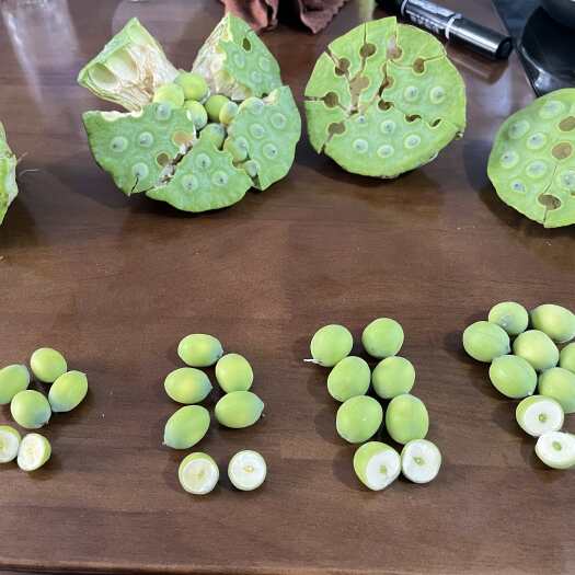 祁阳市水果莲蓬4-5-6-7成熟，可批发可代发