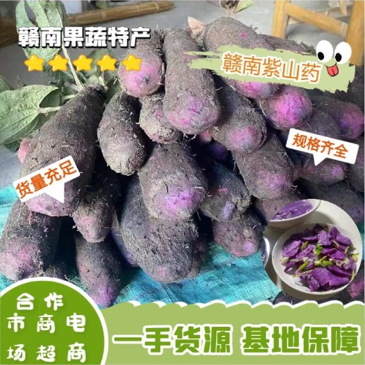 【2024新品】紫山药紫人参新鲜紫色大薯脚板薯紫淮山铁棍山药