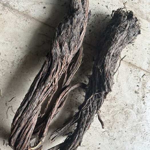 岷县丹参中药材 甘肃省定西市岷县特产 紫花根茎类药材 岷县发货