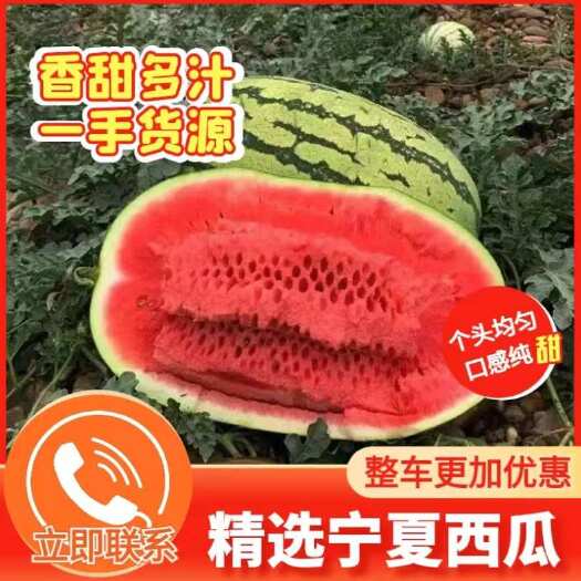 中宁县宁夏硒砂瓜，石头瓜，皮薄多汁，包熟包甜，现采现发