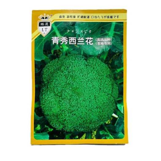 曲周县璐通青秀西蓝花种子高品质杂交西兰花种籽新品种春秋两季基地专用