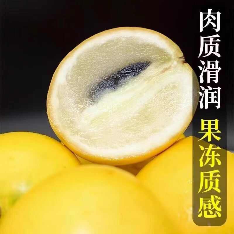 黃晶果新鮮現(xiàn)摘冬蜜黃晶果香甜多汁黃金牛奶果水果當(dāng)季大果