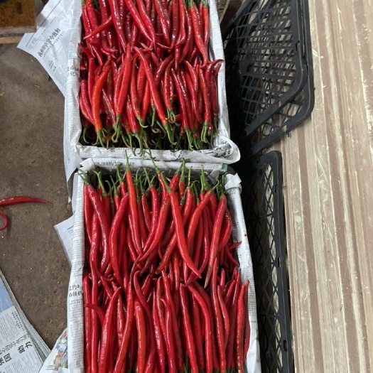 简阳市3号红线椒，打筐，装袋，市场货，电商货，工厂货都有。