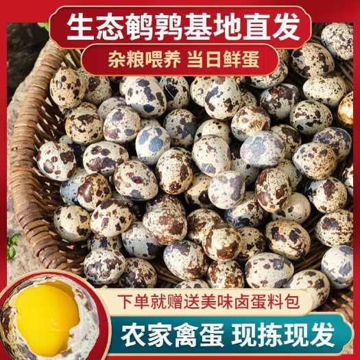 【 赠送卤料】新鲜农家杂粮喂养生鹌鹑蛋50枚/200枚鲜货蛋