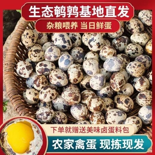 焦作【 赠送卤料】新鲜农家杂粮喂养生鹌鹑蛋50枚/200枚鲜货蛋
