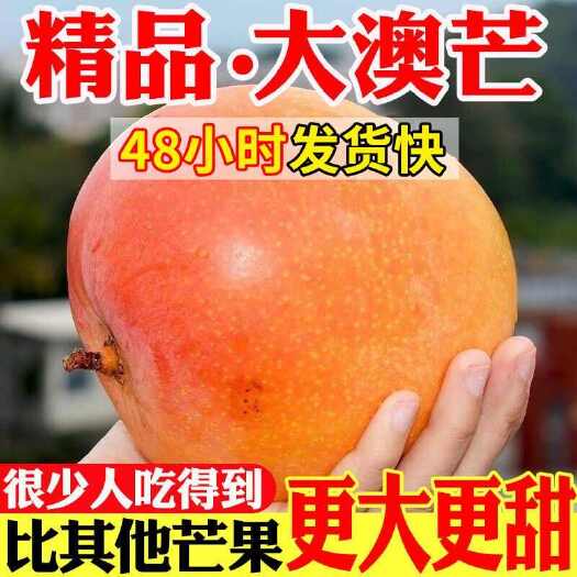 蒙山县【甜】云南彩虹澳芒当季新鲜水果特大号凯特芒果9～10斤批
