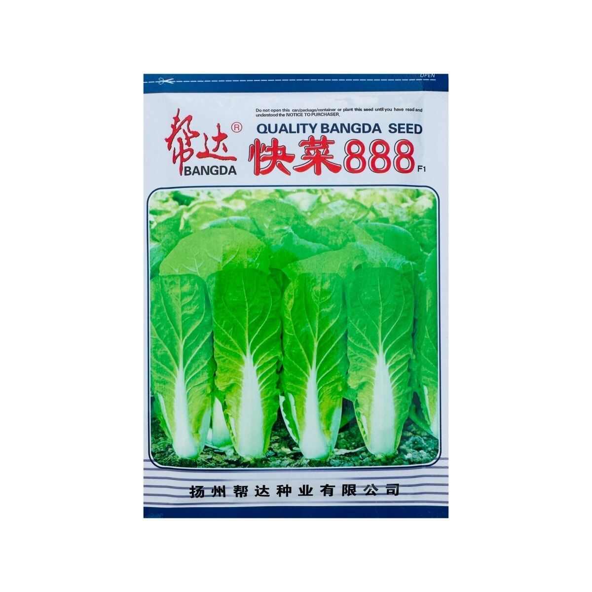 易栽培蔬菜籽快菜888菜种籽速生小白菜种子苗用型大白菜无毛白