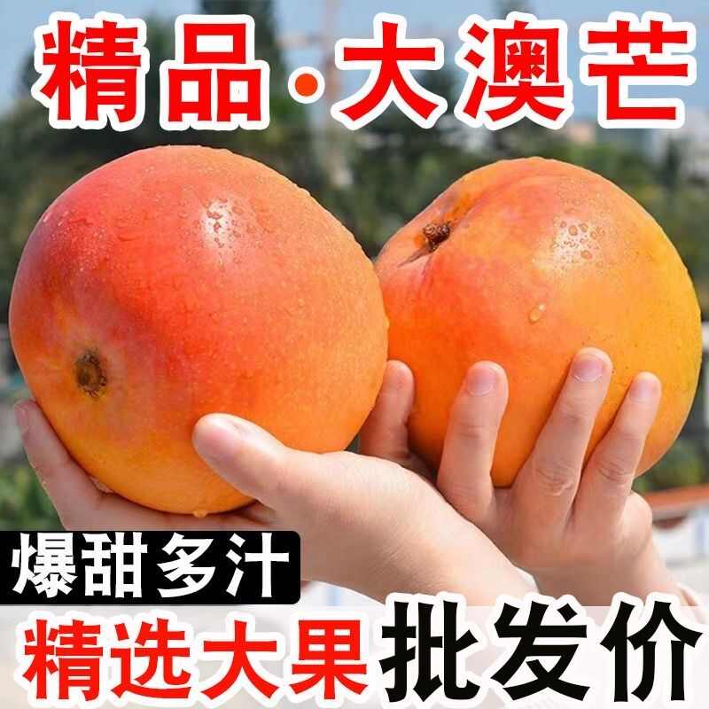 【甜】云南彩虹澳芒当季新鲜水果特大号凯特芒果9～10斤批