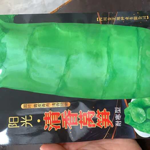 成都阳光清香窝笋