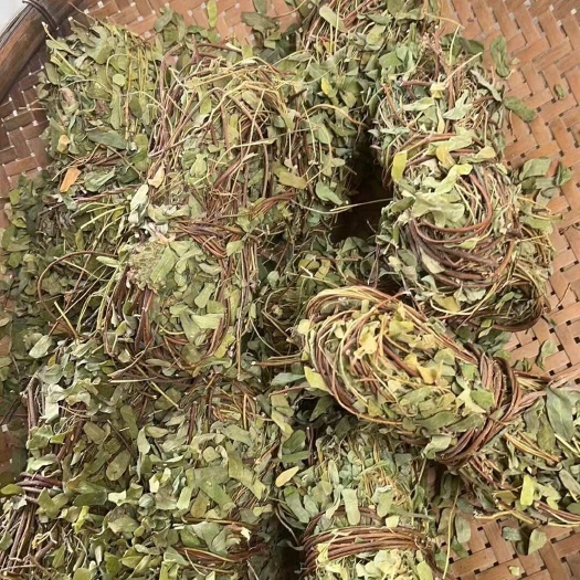 佛山鸡骨草