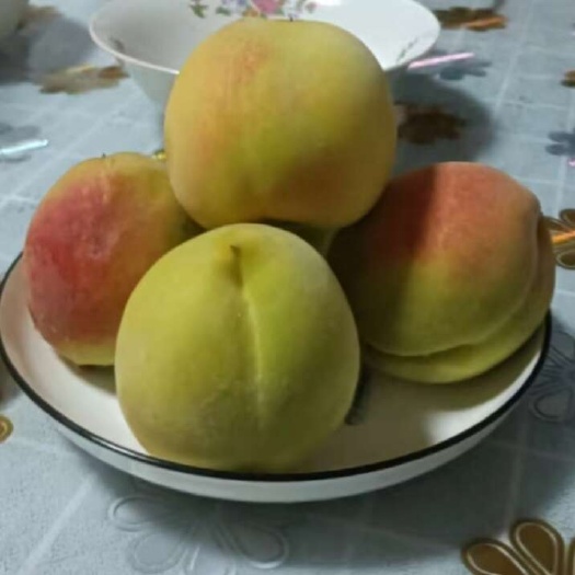 泗水县黄金蜜桃
