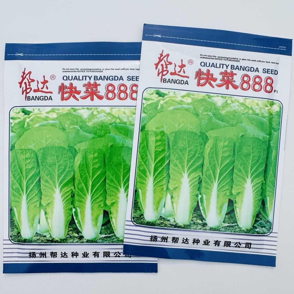 易栽培蔬菜籽快菜888菜种籽速生小白菜种子苗用型大白菜无毛白