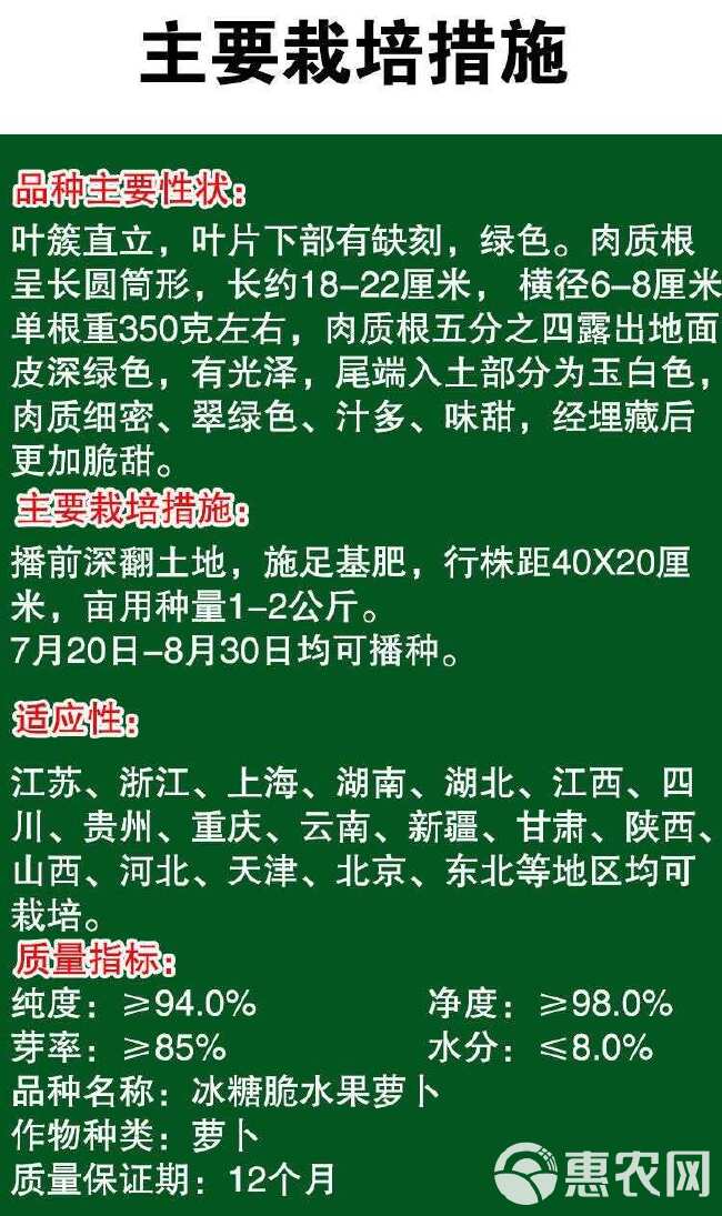 潍县青萝卜种子大青萝卜水果萝卜种籽潍坊特产春夏秋季四季萝卜孑