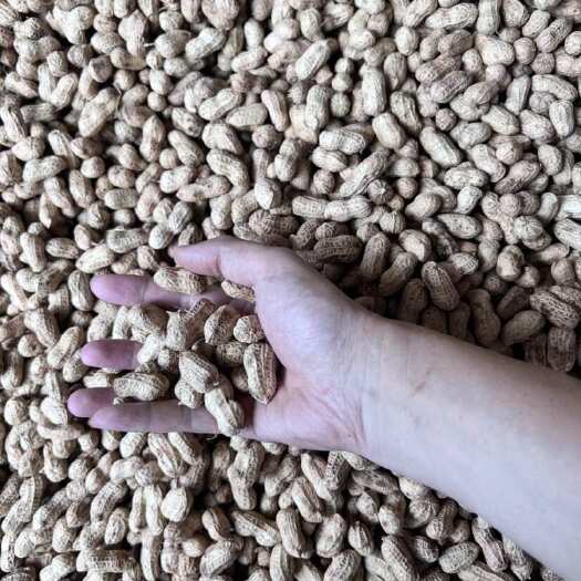 宜宾宜宾小白沙 水洗白皮量大优惠
