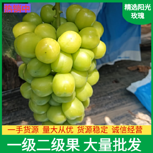 澧县阳光玫瑰一级二级果晴王葡萄香甜可口香味浓郁