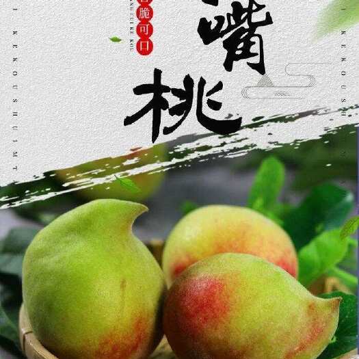 寻乌县【鹰嘴桃】一件代发/电商代发/微商代发，我们产地供应链