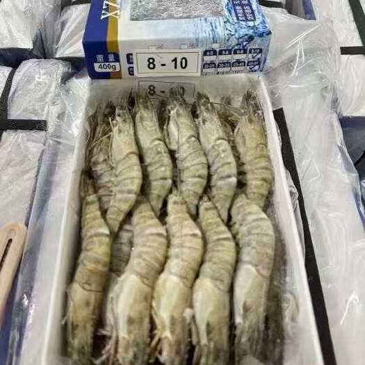 黑虎虾批发新鲜海捕黑虎虾老虎虾斑节虾16-20头400克