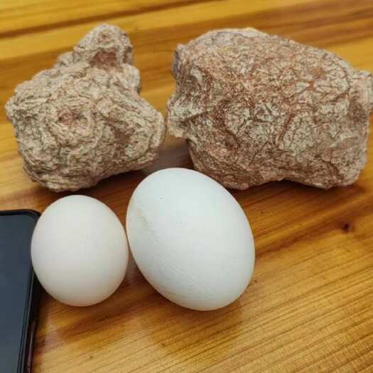 万宁市虎奶菇