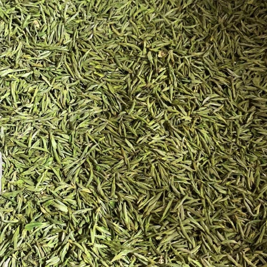 黟县毛峰茶