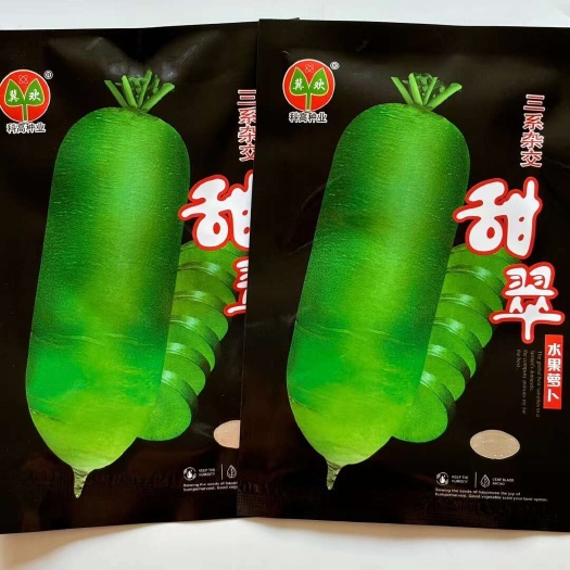 沭阳县甜翠水果萝卜种籽青皮水果萝卜种正宗萝卜种子四季可种蔬菜