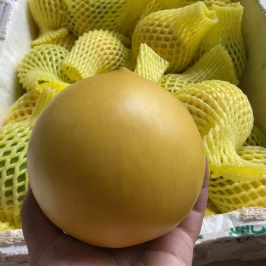龙州县黄晶果
