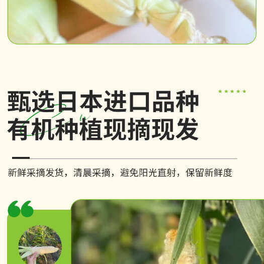 北京水果玉米