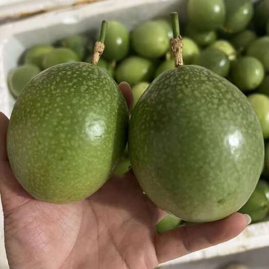 桂林百香果