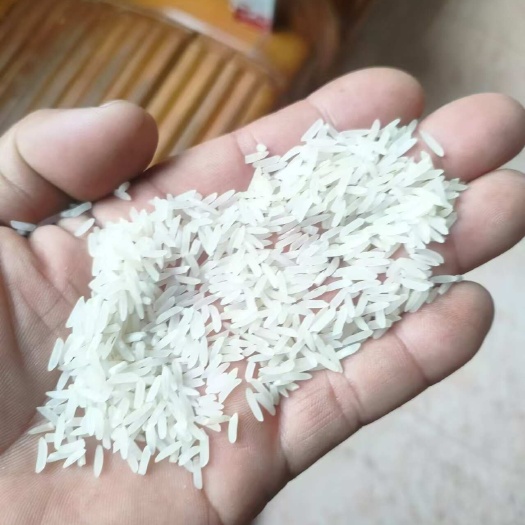贵港广西贵港丝香米