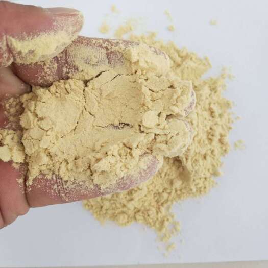 灵寿县玉米皮粉猪牛羊鸡鸭鹅水产宠物饲料添加剂降低成本蛋白饲料原料