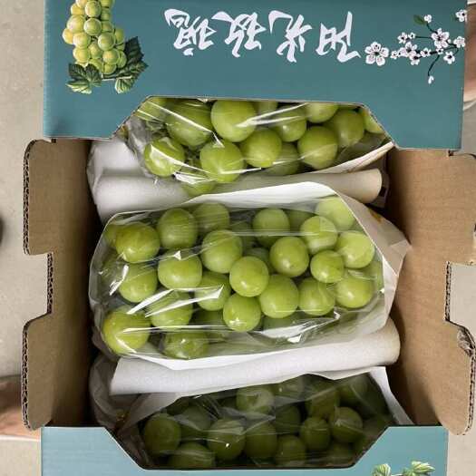 宁波净果四斤五斤左右！阳光玫瑰葡萄