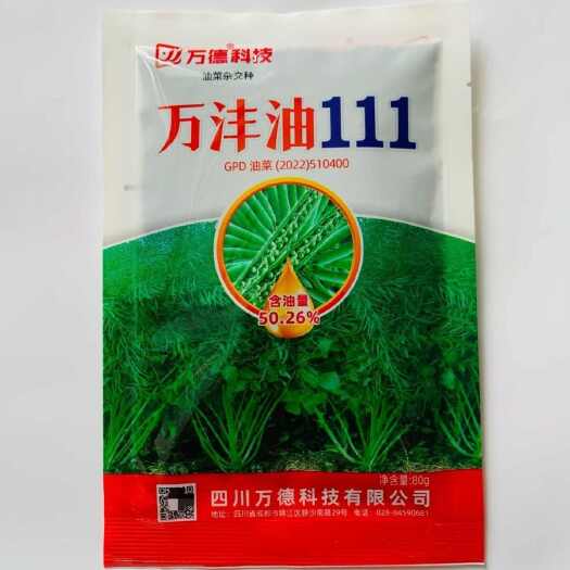 江苏沭阳县万沣油111油菜种子出油率量高抗倒伏油菜籽种籽矮杆大粒耐