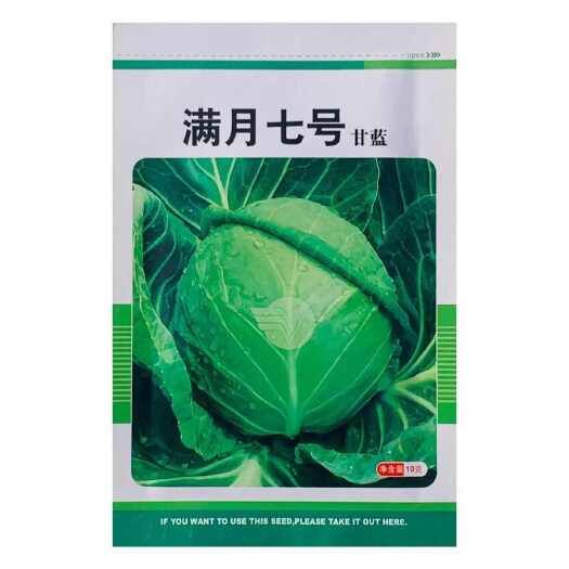 南京华耐满月七号圆形甘蓝种子抗病基地种甘蓝种籽种子包菜卷心菜