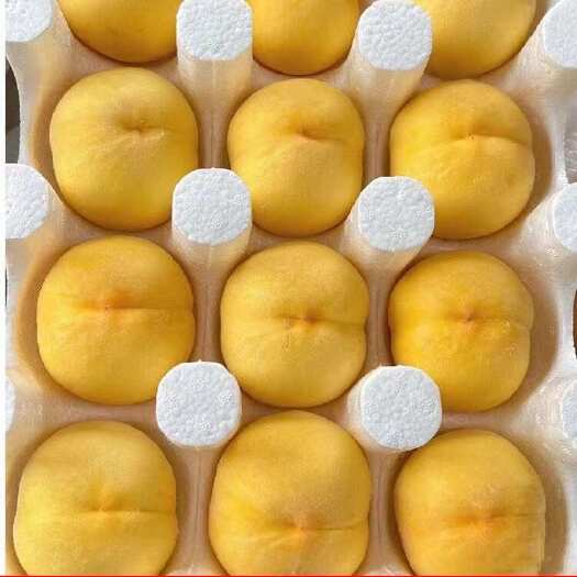 沂源县黄桃