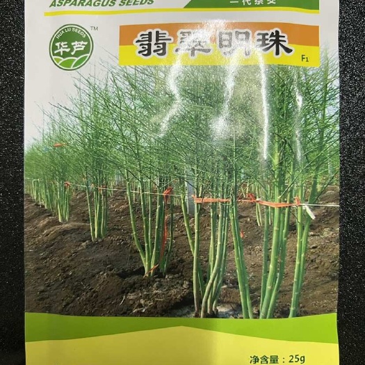 芦笋种子