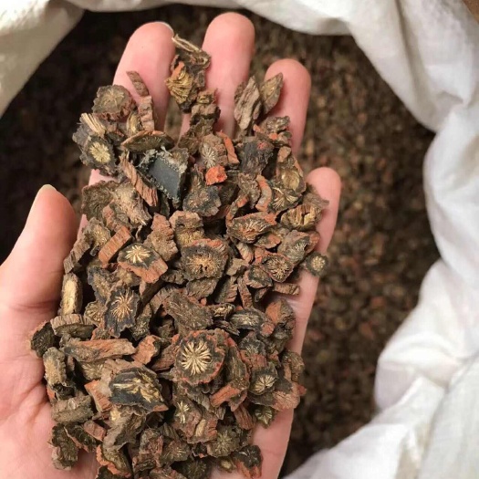 昆明血藤