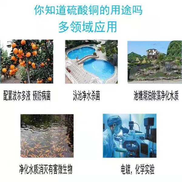 江铜硫酸铜水产养殖除青苔除藻农用果树杀菌配波尔多液