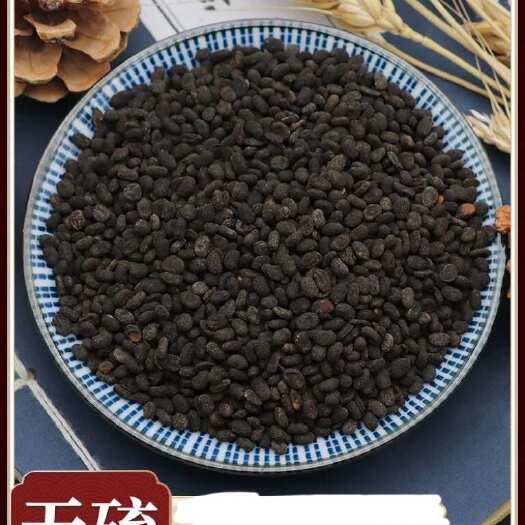 鄄城县补骨脂中药材补骨脂粉破故纸盐炒盐补骨脂