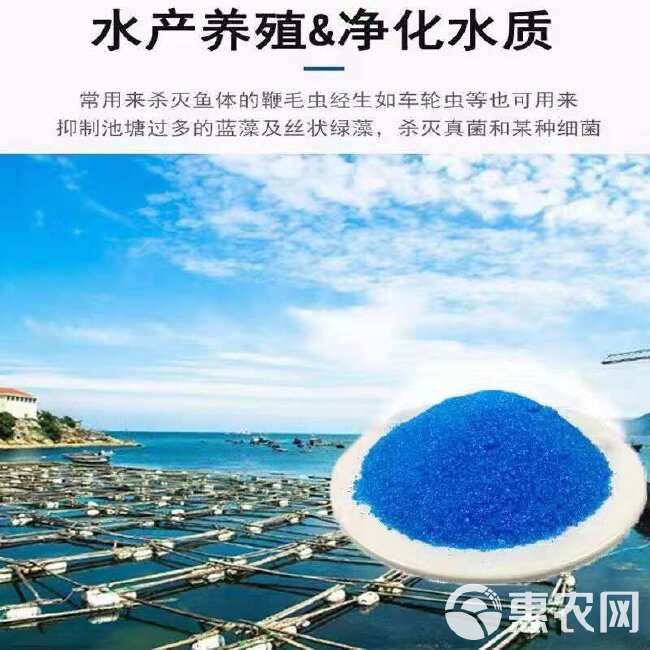 江铜硫酸铜水产养殖除青苔除藻农用果树杀菌配波尔多液