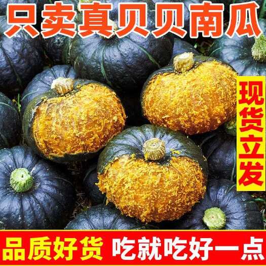 贝贝南瓜,一件代发,可接各大平台