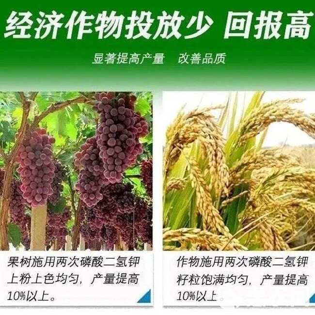 磷酸一铵花肥水溶肥叶面肥氮磷肥通用肥快递包邮