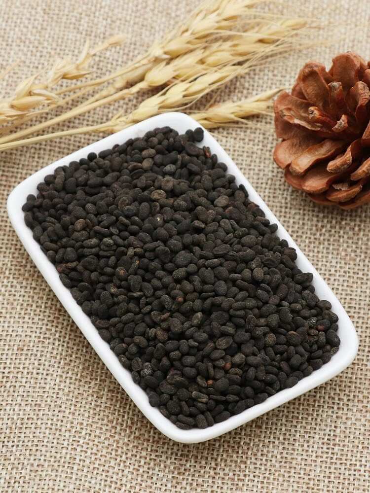补骨脂中药材补骨脂粉破故纸盐炒盐补骨脂
