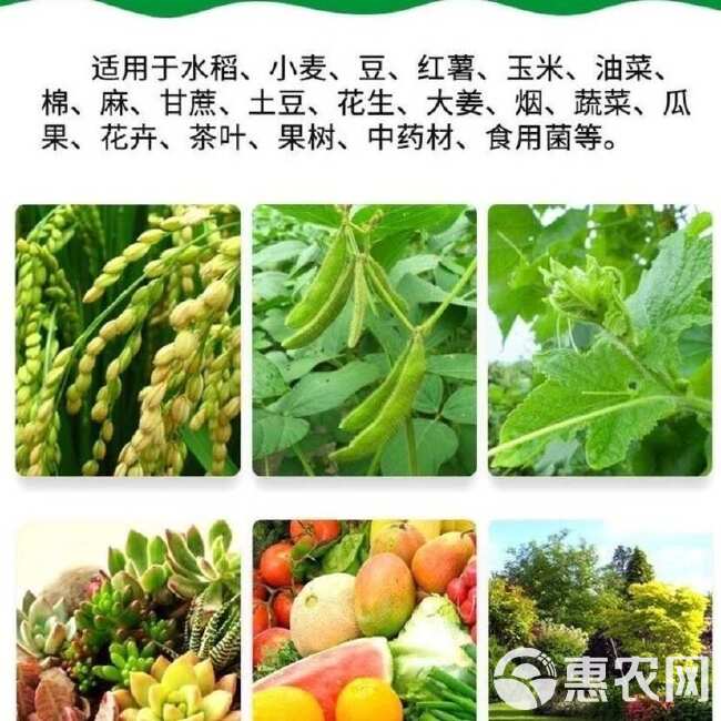 磷酸一铵花肥水溶肥叶面肥氮磷肥通用肥快递包邮