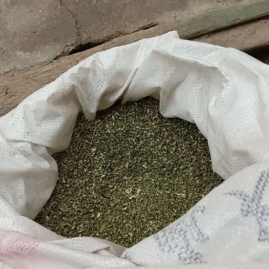 武强县槐米